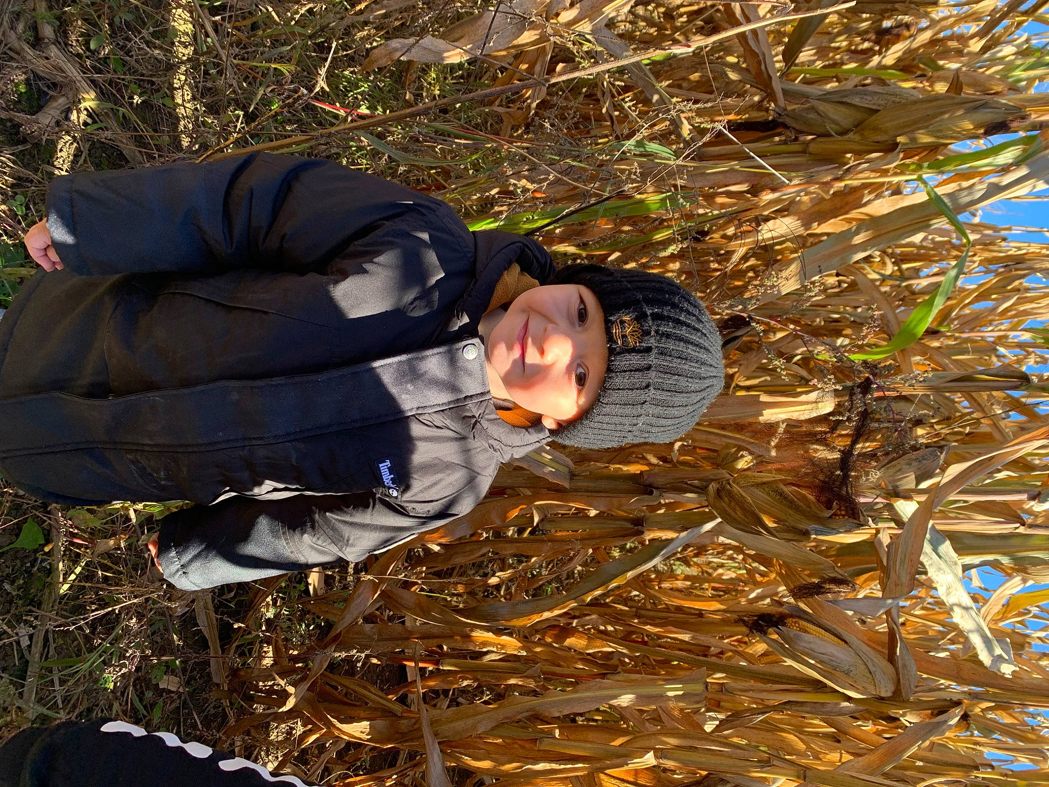 Asher joined the competition — help win amazing prizes! botany, branch, forest, fun, grass, happy, hat, headwear, joy, leaf, people_in_nature, person, plant, smile, soil, tree, twig, windbreaker, winter, wood