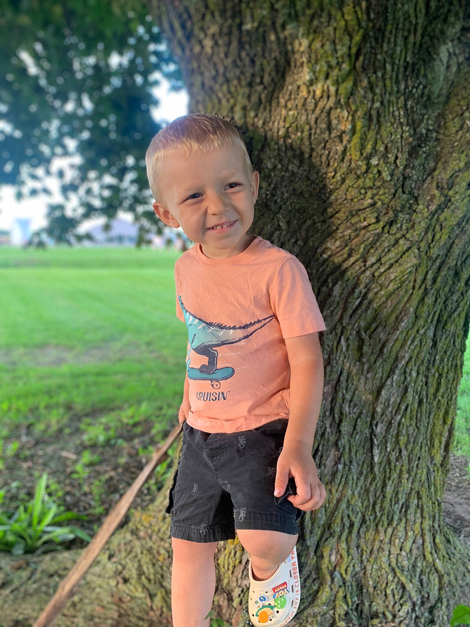 Asher is registered to the contest to win money with this photo: arm, child, eye, forest, fun, grass, grass_family, happy, joy, leisure, people_in_nature, person, plant, recreation, shorts, smile, t_shirt, toddler, tree, trunk