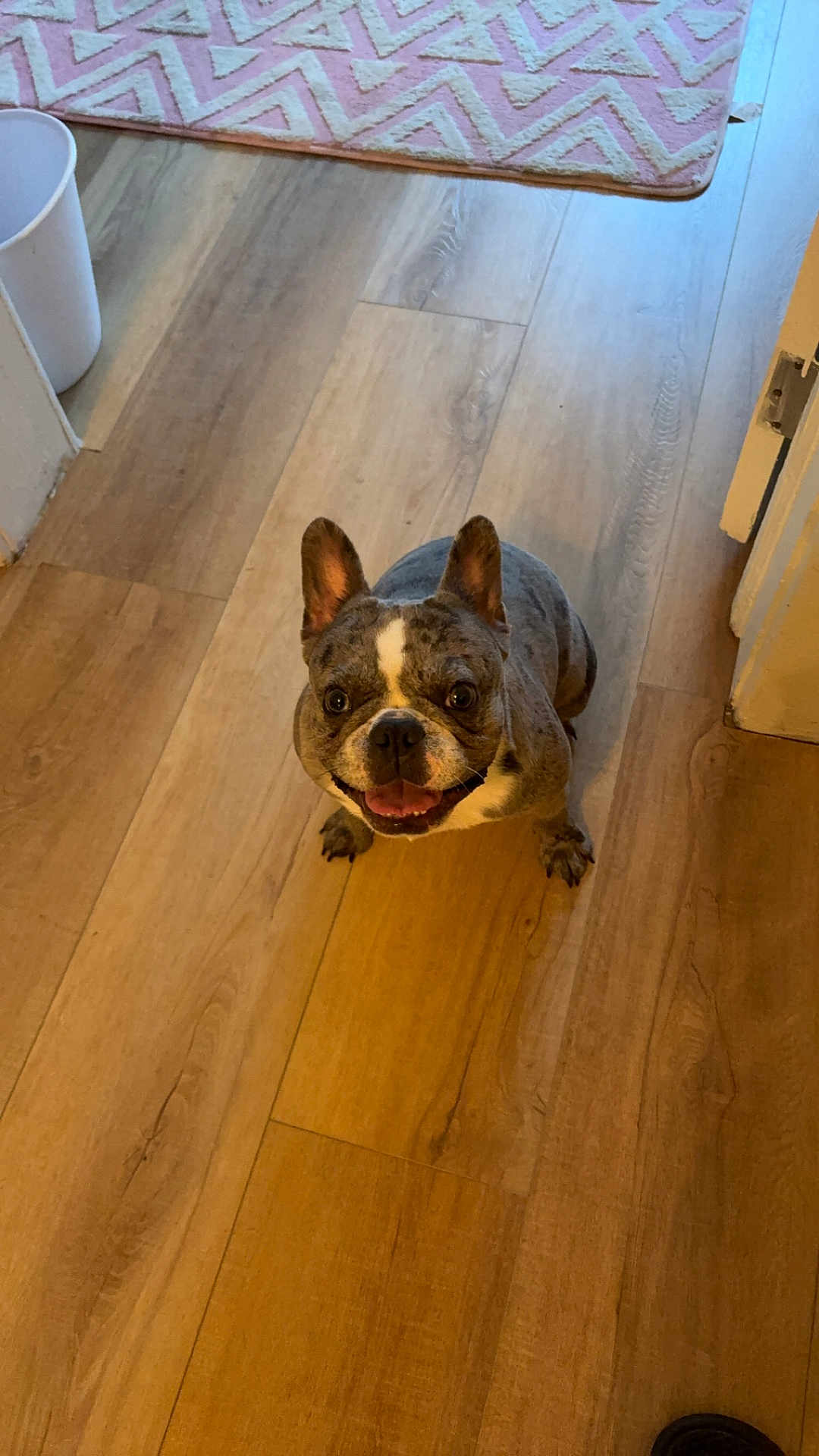 Bella