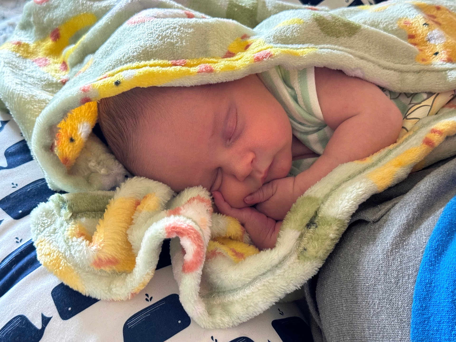 Colton joined the competition — help win amazing prizes! baby, sleeping, blanket, soft, cute, infant, peaceful, rest, bed, pattern, whale, fabric, face, hand, wrapped, cozy, child, toddler, nap, comfort