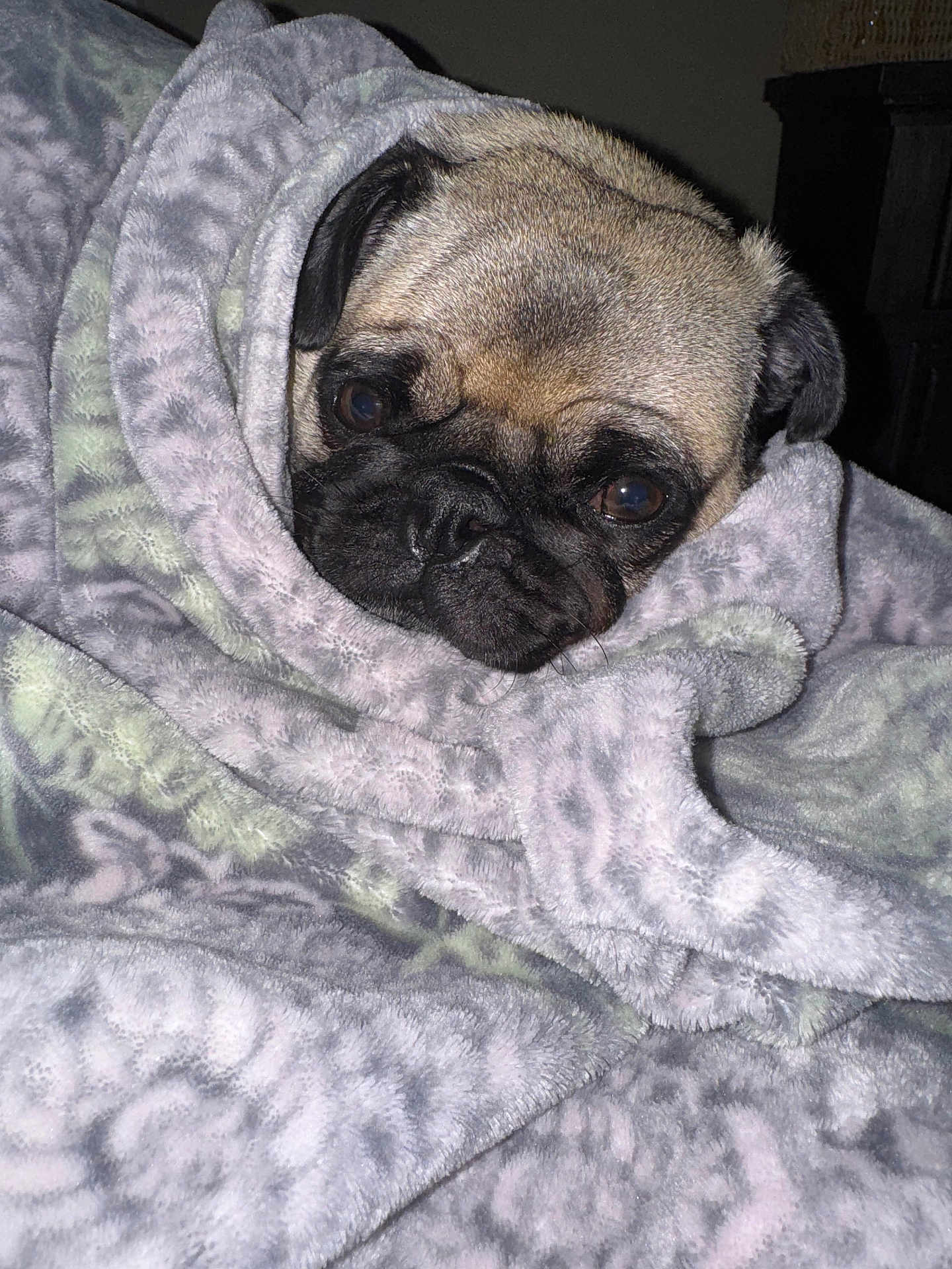 Cooper