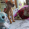 bouquet, chihuahua, cute, decor, domestic, flowers, indoor, kitchen, magnets, marble_pattern, natural_light, notes, pet, plush_toy, puppy, refrigerator, small_dog, stuffed_animal, table, window
