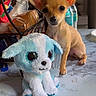 puppy, chihuahua, dog, toy, plush, stuffed_animal, table, kitchen, counter, snack_bags, water_bottle, pet, small_dog, cute, indoor, marble_pattern, ears, eyes, animal, companion