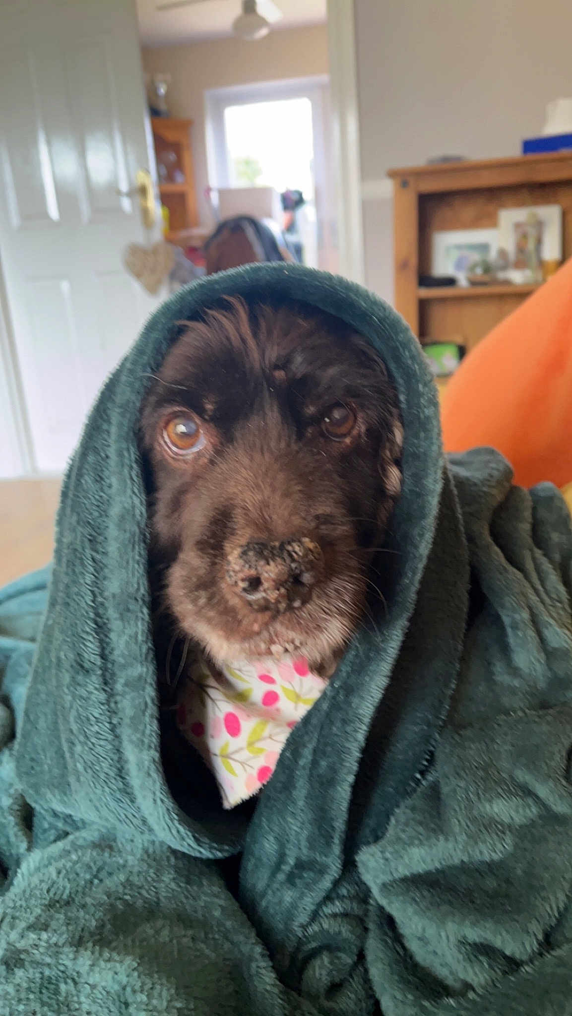 Coco