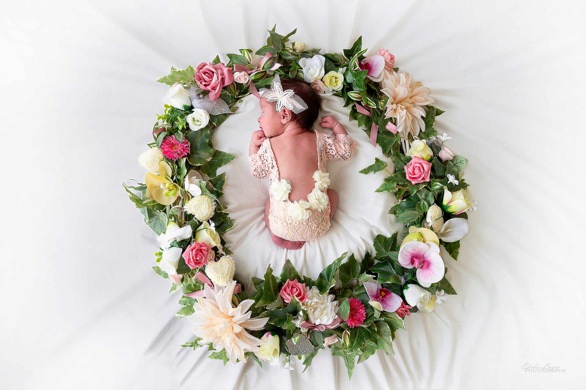 Romane participe au concours pour gagner de l'argent avec cette photo : baby, newborn, flower_wreath, pink_lace, sleeping, headband, floral_arrangement, green_leaves, white_background, peaceful, infant, portrait, cute, decorative, soft_texture, delicate, resting, baby_clothing, nature, artistic