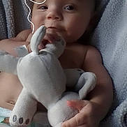 Oliver joined the competition — help win amazing prizes! animal, baby, bodypart, book, cat, cushion, face, finger, hand, head, homedecor, newborn, person, pet, photography, plush, portrait, publication, quilt, toy