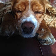 Molly participe au concours pour gagner de l'argent avec cette photo :