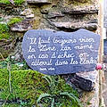 Teigne L.