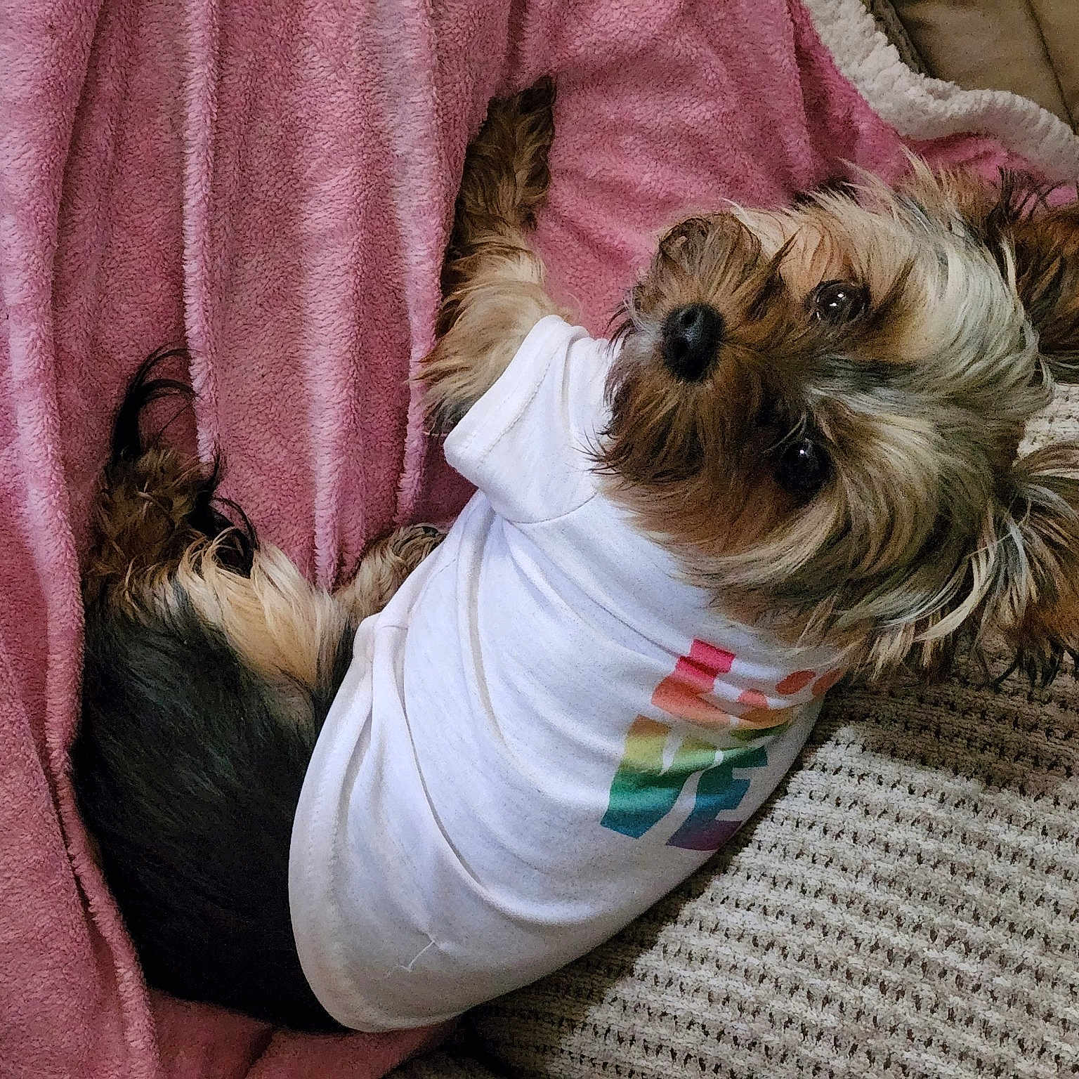 Gizzie Grace