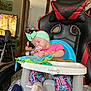 Alita joined the competition — help win amazing prizes! baby, high_chair, pacifier, headband, sleeping, indoor, colorful_clothing, baby_toys, gaming_chair, living_room, television, furniture, doorway, blanket, footwear, wood_floor, table, wall_art, person, household