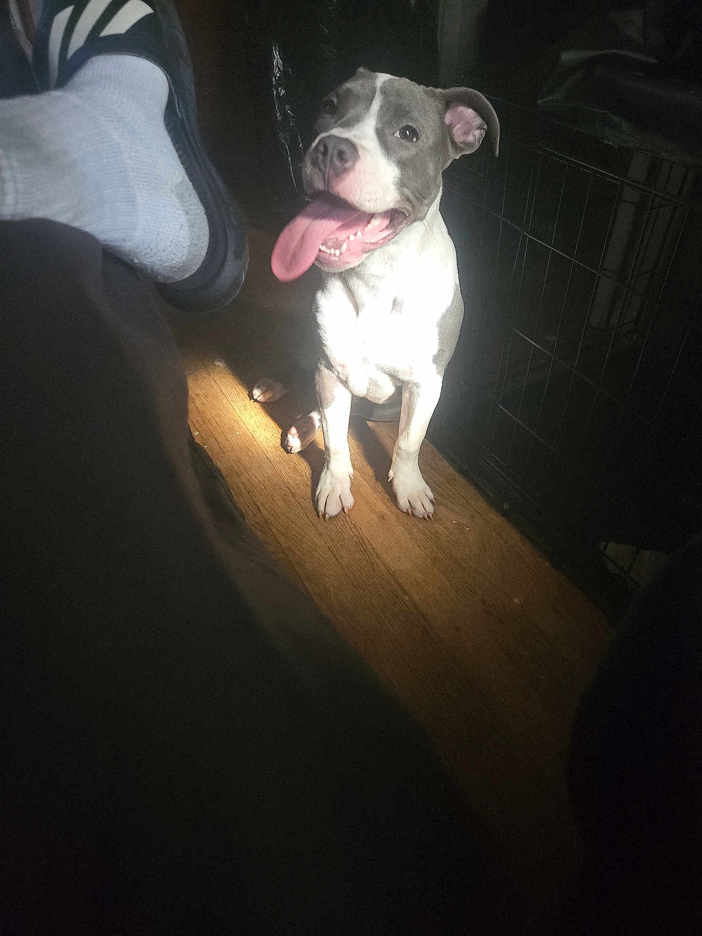 Zeus