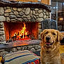 dog, golden_retriever, fireplace, fire, stone, wooden_wall, cushion, indoor, pet, smiling, cozy, warm, home, living_room, window, lamp, decor, furniture, happy, animal