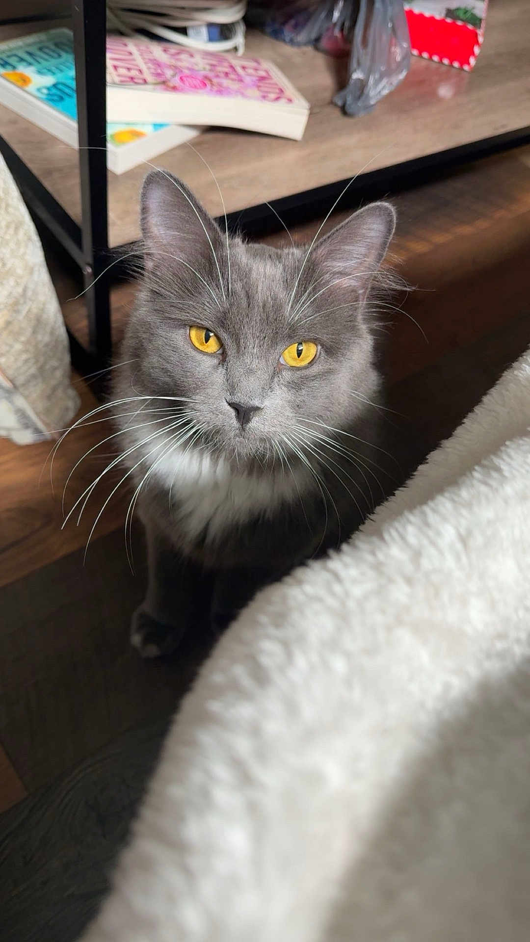 Smokey