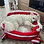 dog, pet_bed, white_fur, indoor, holiday_decor, christmas_theme, red_color, white_color, wooden_furniture, carpet, relaxed, fluffy, toy, living_room, decorations, sleigh_bed, cozy, resting, cute, soft