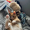 kitten, cat, bed, blanket, stuffed_animal, striped_bedspread, indoor, paw, pink_pads, orange_fur, white_fur, window, greenery, toy, cozy, relaxed, pet, fur, cute, animal