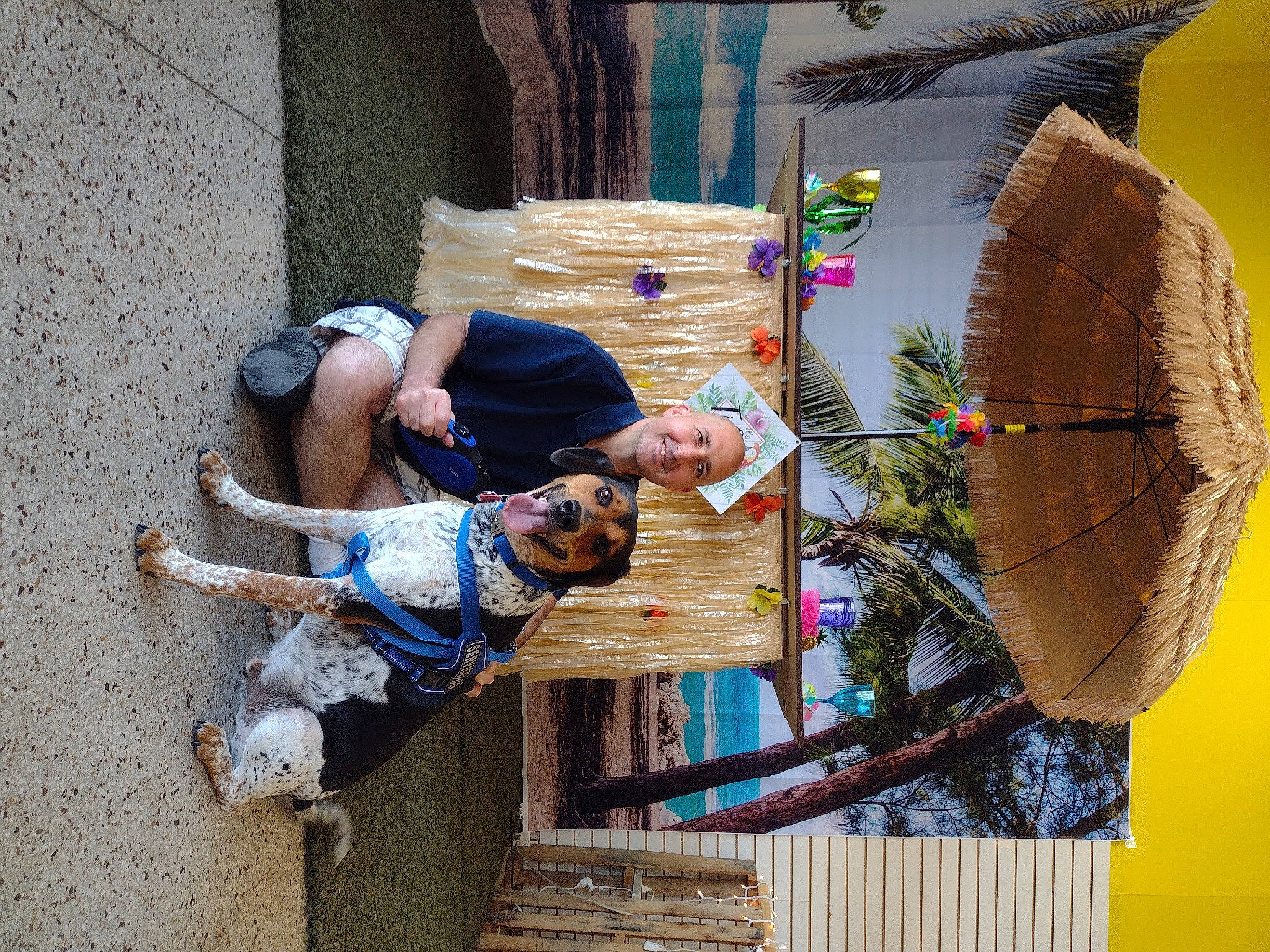 Billy joined the competition — help win amazing prizes! art, dress, fun, happy, human, leisure, textile, travel, tree, umbrella, vacation, visual_arts, wood, world, yellow