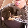 animal, black_dog, closeup, clothing, comfort, couch, cute, dog, earrings, face, hoop_earrings, indoor, jacket, person, pet, puppy, resting, sleeping, tan_spots, woman
