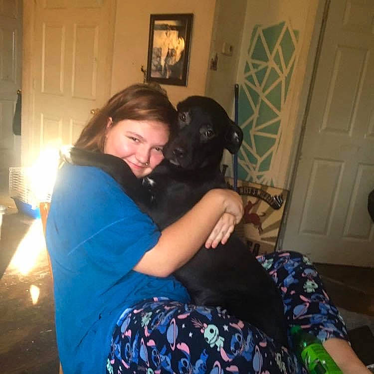 Boone is registered to the contest to win money with this photo: bed, brown_hair, carnivore, comfort, companion_dog, couch, dog, dog_breed, door, event, fawn, fun, fur, happy, long_hair, neck, picture_frame, room, sitting, t_shirt