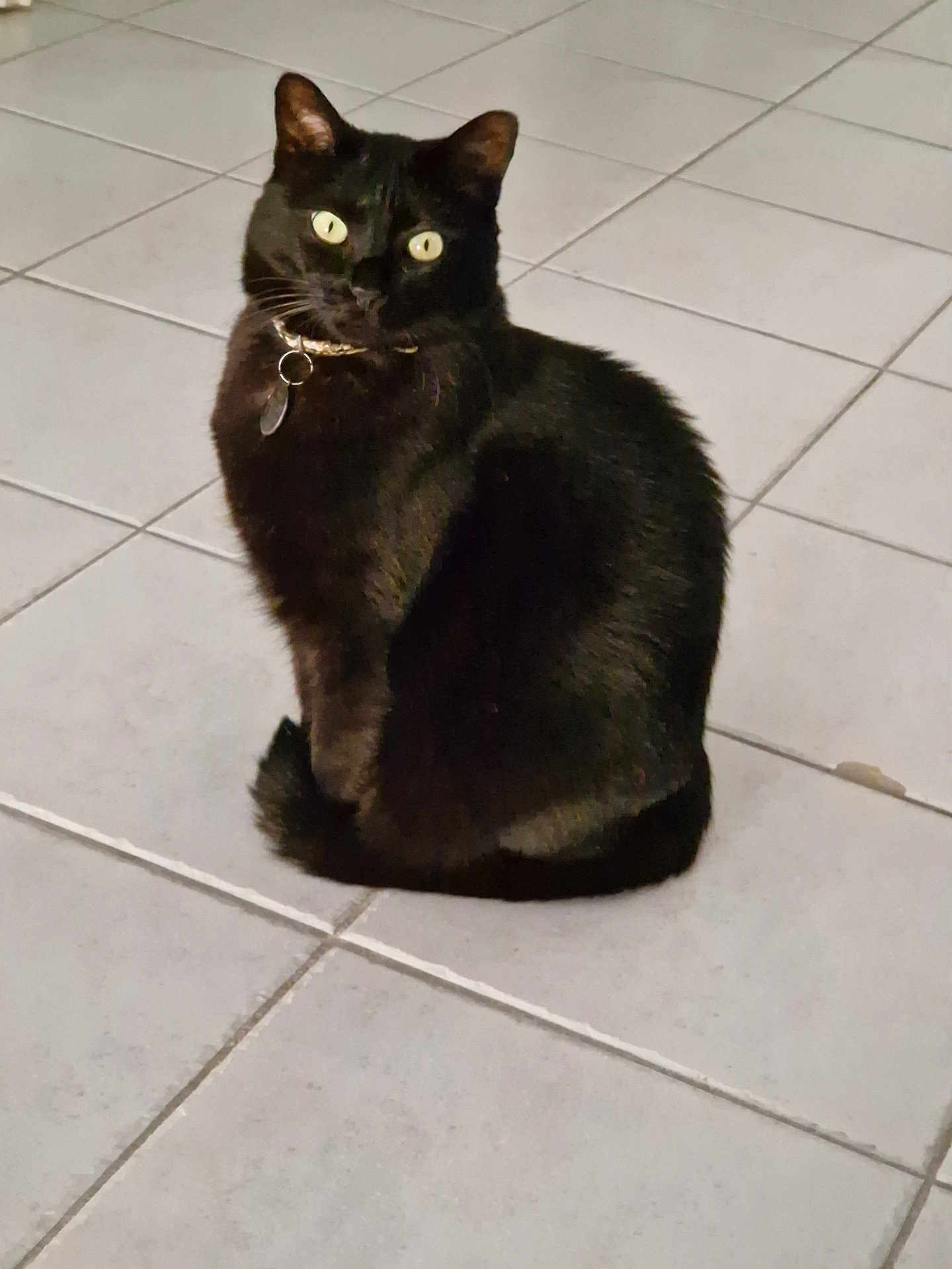 Onyx