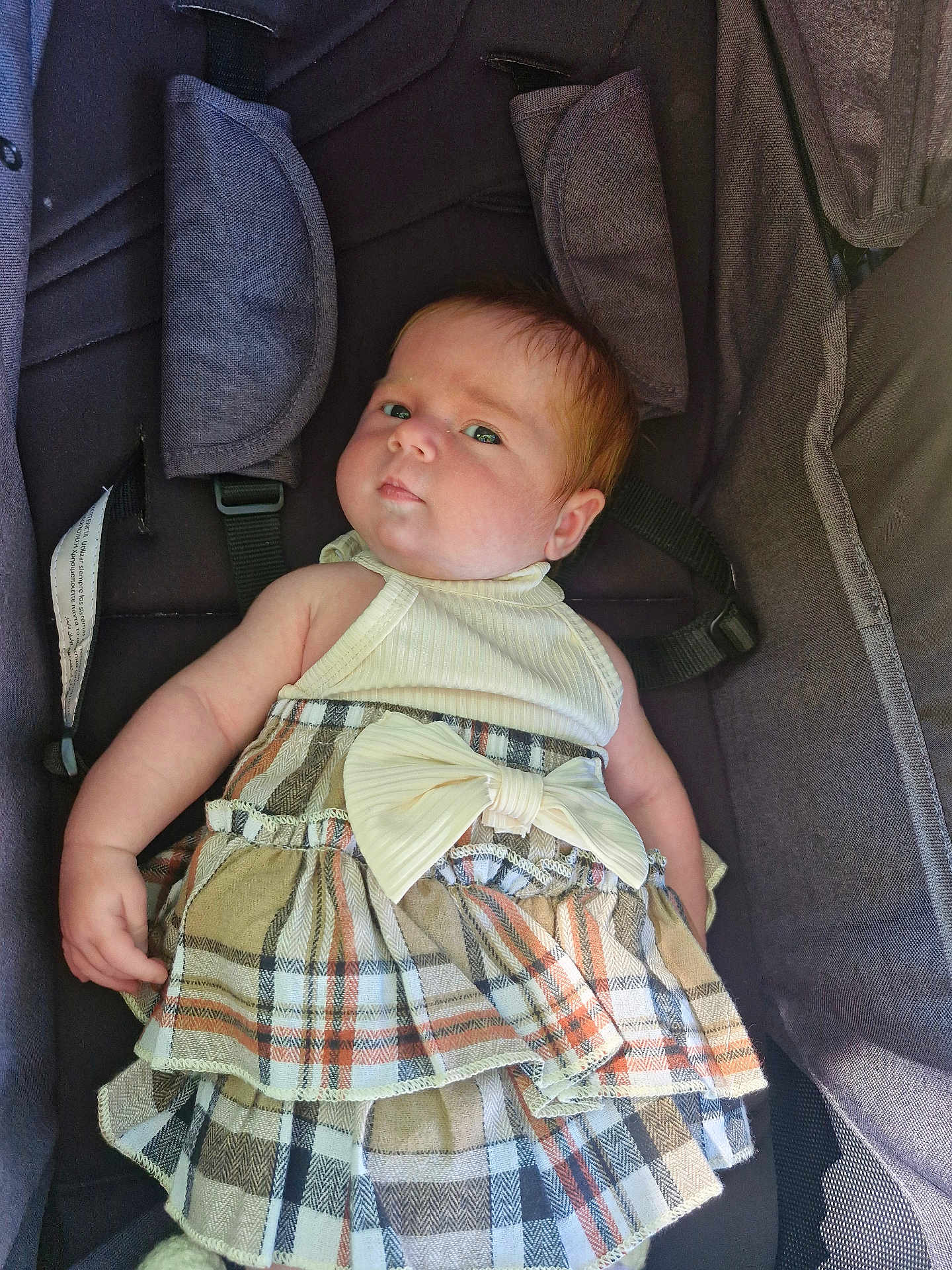 Lyanna participe au concours pour gagner de l'argent avec cette photo : baby, infant, stroller, dress, bow, plaid, child, cute, face, expression, clothing, sitting, indoors, person, young, head, skin, hair, seatbelt, fabric
