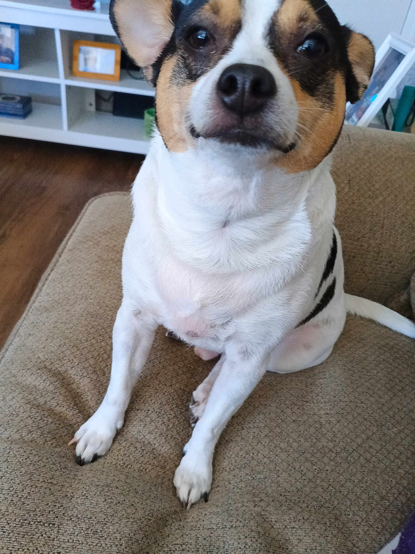 Petey