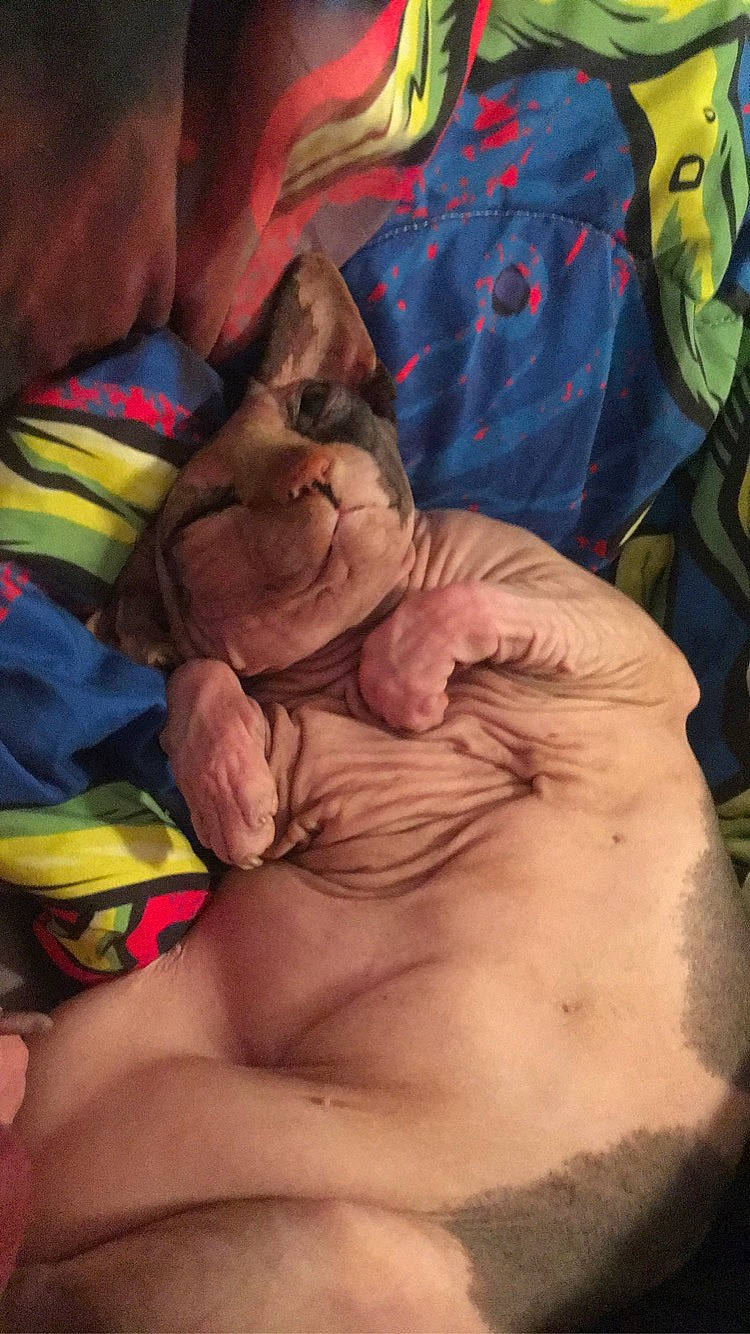 Siggi joined the competition — help win amazing prizes! abdomen, art, barechested, chest, child, comfort, felidae, finger, human_leg, knee, linens, mouth, navel, pattern, room, tattoo, thigh, thumb, trunk, wrinkle