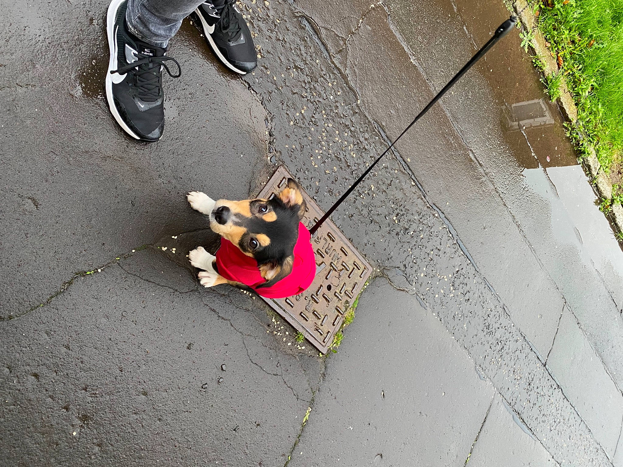 Edith joined the competition — help win amazing prizes! art, asphalt, black, carmine, chair, city, concrete, dog, flooring, human_leg, pedestrian, recreation, road, road_surface, shadow, shoe, sidewalk, sitting, street, street_fashion