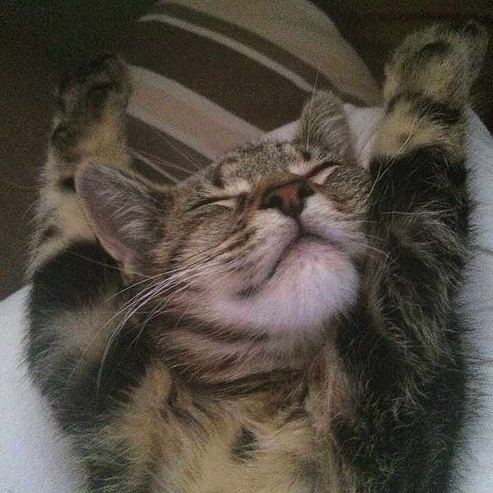 Winnie is registered to the contest to win money with this photo: