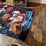 black, blanket, blue, characters, clothing, curious, decorations, dog, floor, fur, halloween, horror, indoor, orange, pet, pomeranian, red, shelf, white, wooden_floor