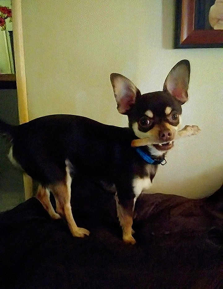Paco