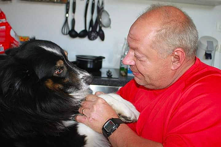 Gaïa a rejoint le concours — aidez-le/la à gagner de superbes lots ! bernese_mountain_dog, canidae, carnivore, companion_dog, dog, dog_breed, ear, gordon_setter, hovawart, king_charles_spaniel, pekingese, puppy_love, setter, snout, sporting_group