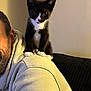Nova joined the competition — help win amazing prizes! kitten, cat, black_and_white, pet, animal, shoulder, man, hoodie, beard, indoor, couch, curious, feline, portrait, cute, domestic_animal, young_cat, human, warm_lighting, relaxed