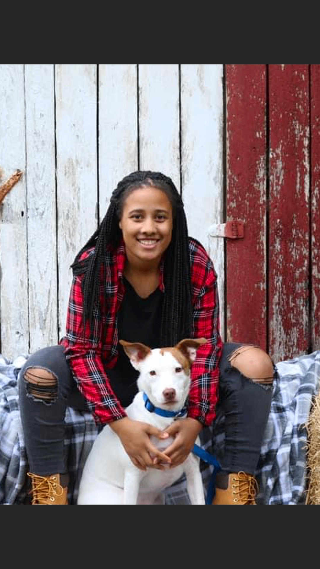 Callie joined the competition — help win amazing prizes! person, dog, smiling, braids, plaid_shirt, ripped_jeans, boots, white_dog, blue_collar, sitting, blanket, wooden_wall, rustic, outdoor, pet, leash, casual_clothing, happy, portrait, companion