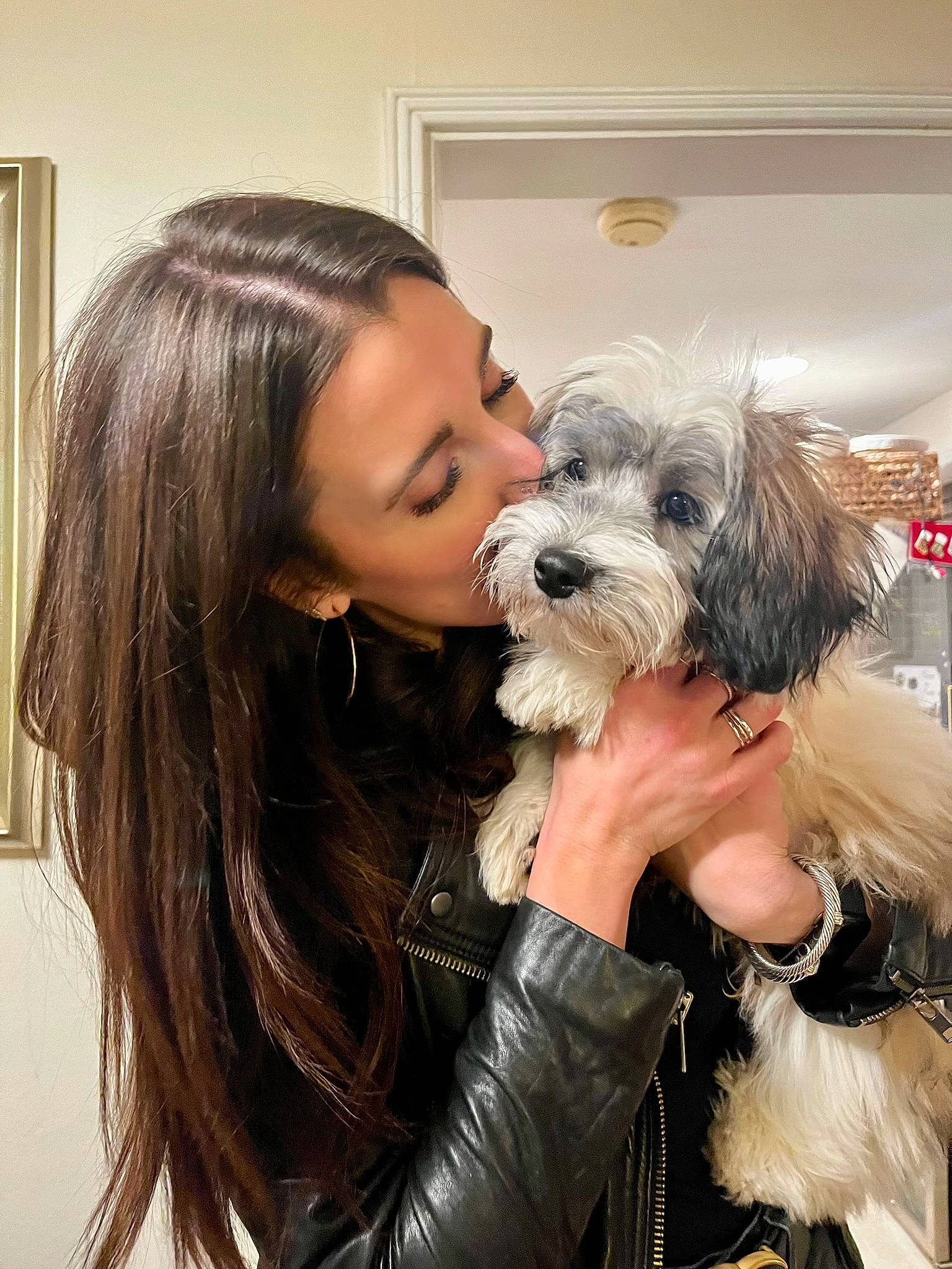 Oliver joined the competition — help win amazing prizes! blond, canidae, carnivore, companion_dog, dog, dog_breed, eyewear, fashion_accessory, fashion_design, fawn, fur, happy, leather_jacket, long_hair, picture_frame, small_terrier, smile, sporting_group, terrier, toy_dog