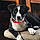 Lucy