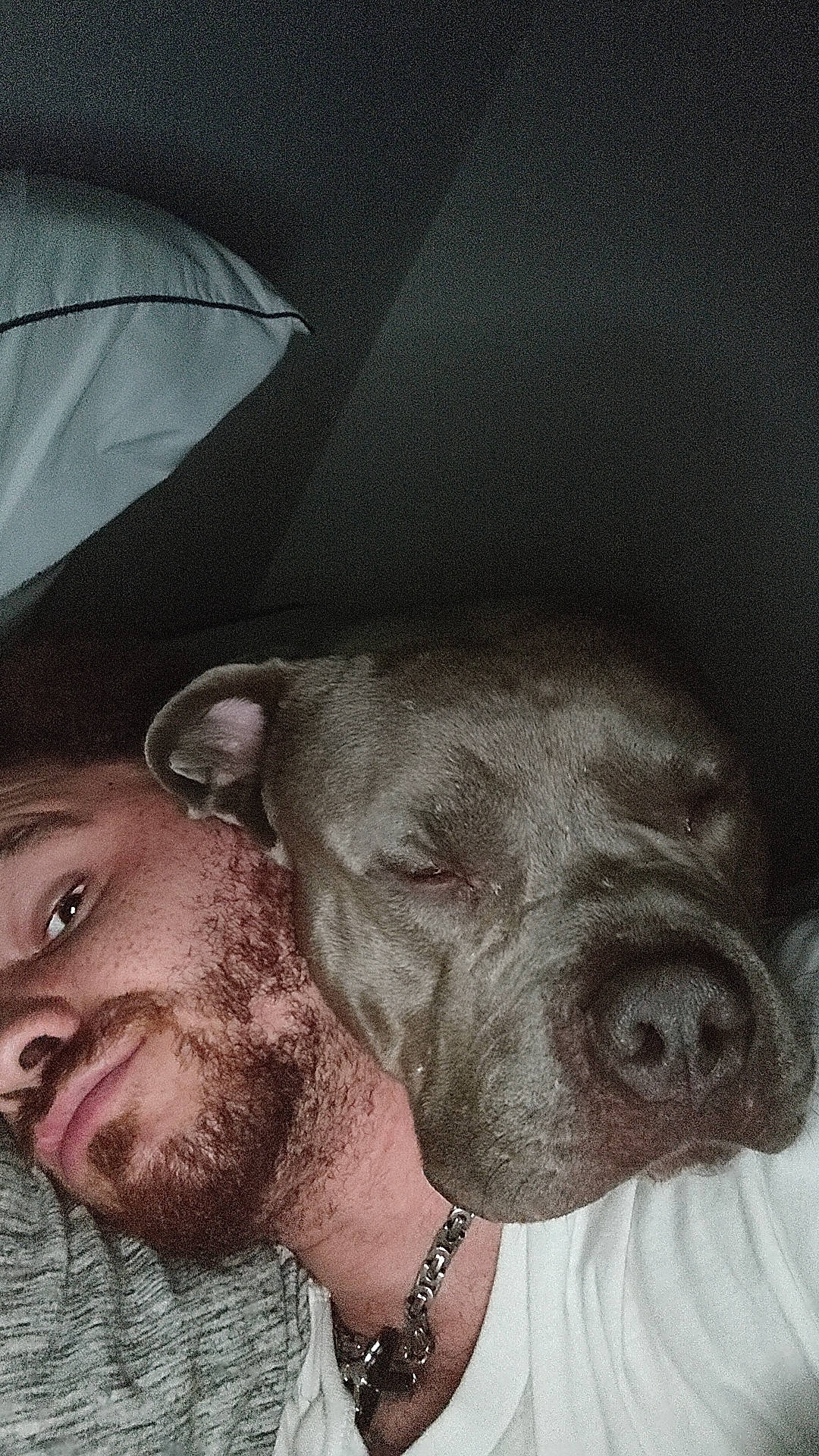 Sada is registered to the contest to win money with this photo: beard, carnivore, chest, cool, dog, ear, eyebrow, facial_hair, flash_photography, gesture, happy, jaw, mouth, muscle, neck, nose, selfie, whiskers, working_animal, wrinkle