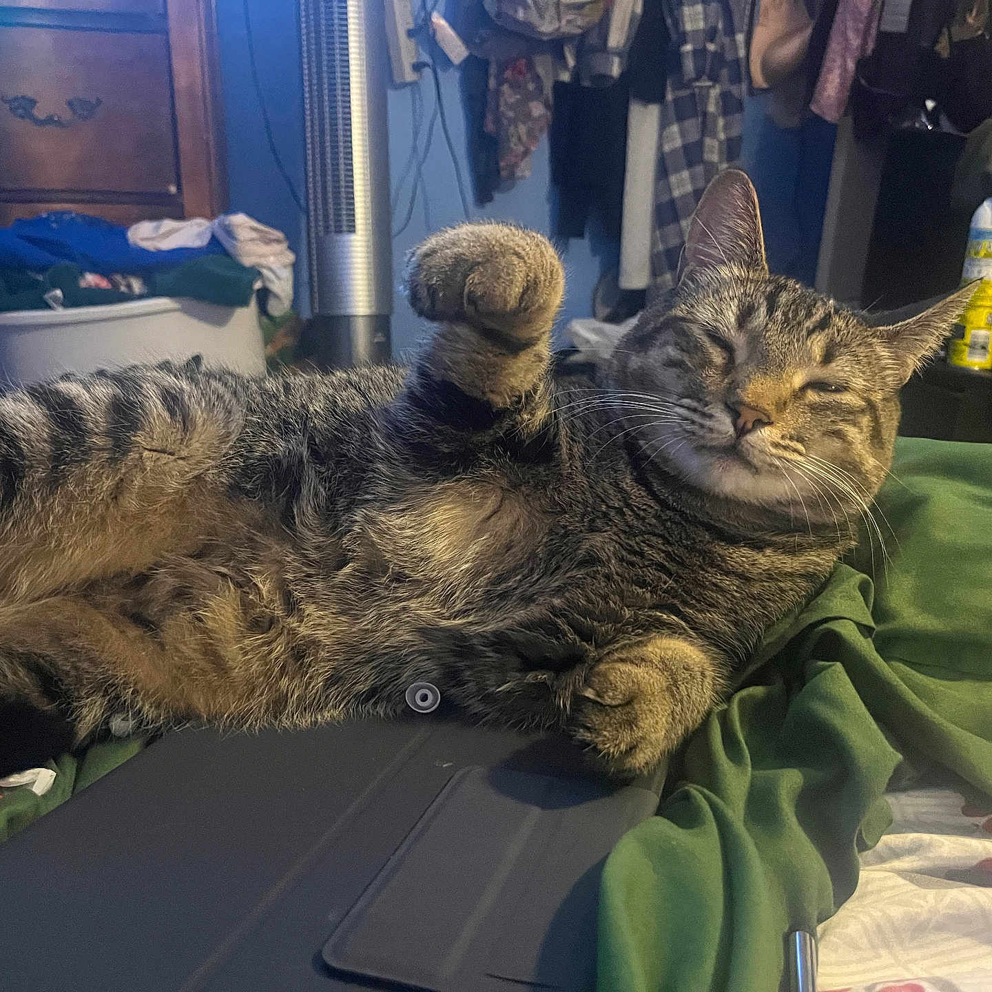 Thor