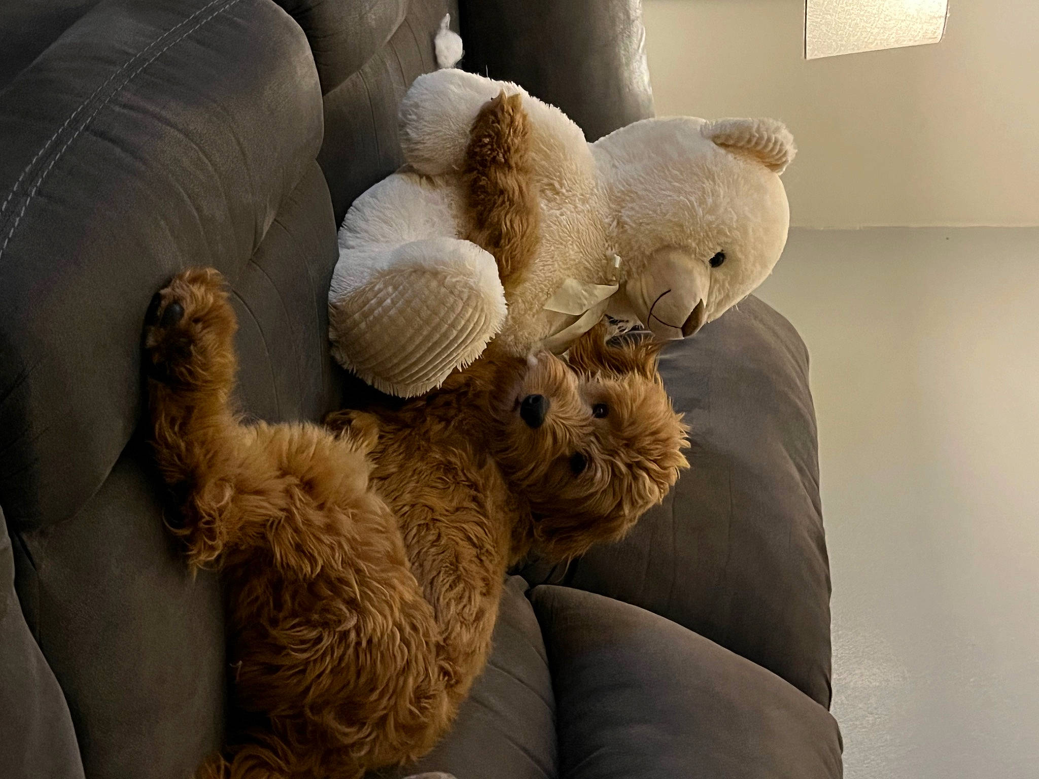 Roman is registered to the contest to win money with this photo: art, comfort, fiber, fur, linens, plush, room, stuffed_toy, toy, wood, wool