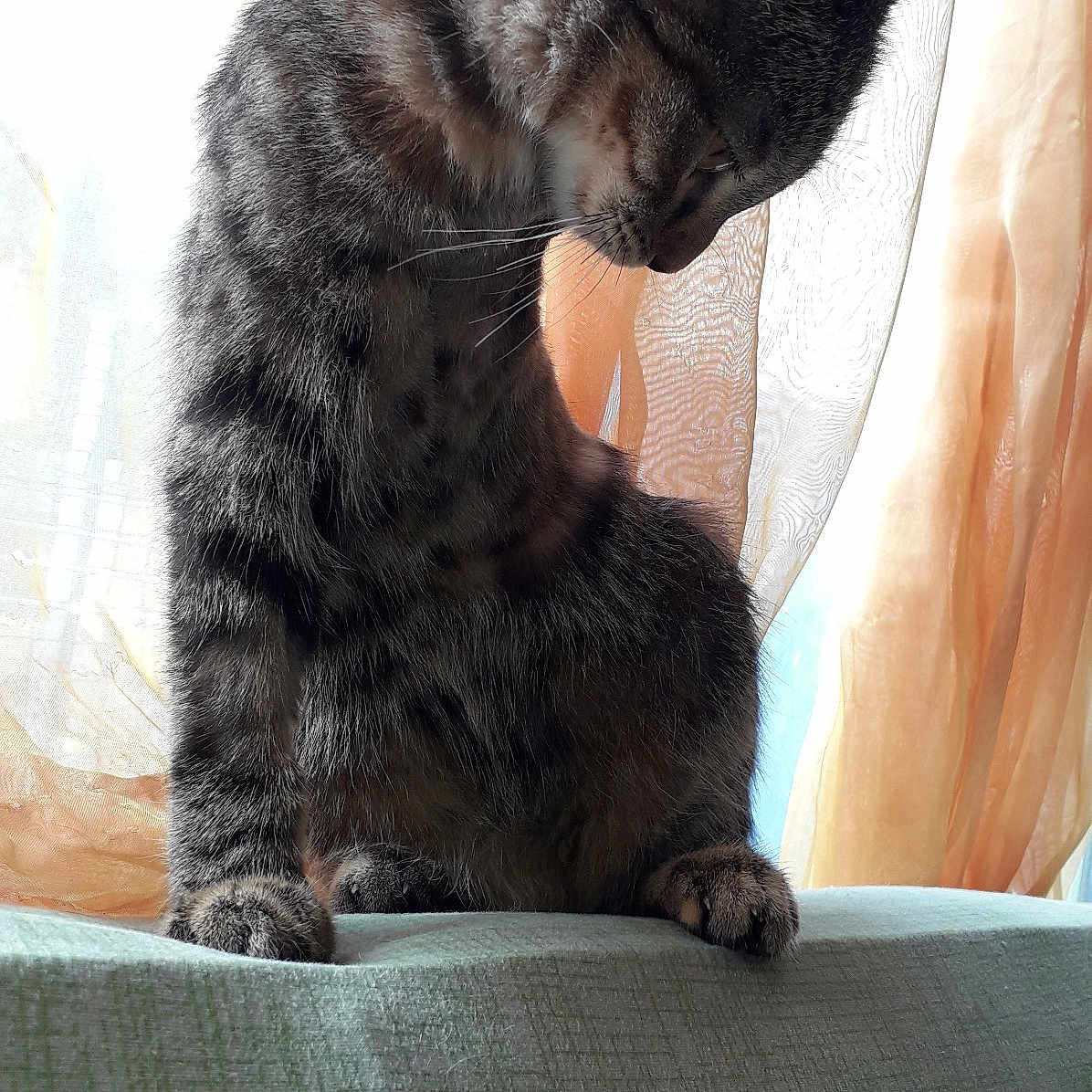 M'Uguette
