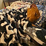 dog, sleeping, brown_dog, blanket, couch, pet, indoors, cozy, resting,  curled_up, animal, home, living_room, soft_fabric, dog_bed, relaxed, nap, furniture, warm, portrait