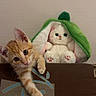 kitten, cat, orange_tabby, plush_toy, stuffed_animal, green_hood, curious, indoor, wall, patterned_surface, paw, cute, animal, pet, soft_toy, brown, beige, white, feline, playful