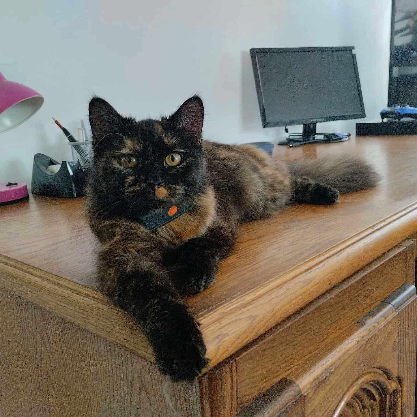 Louna