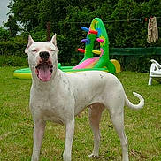 Tania a rejoint le concours — aidez-le/la à gagner de superbes lots !