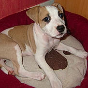 Iris participe au concours pour gagner de l'argent avec cette photo :