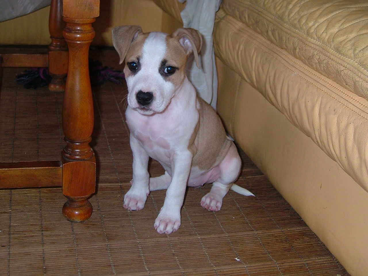 Iris participe au concours pour gagner de l'argent avec cette photo :