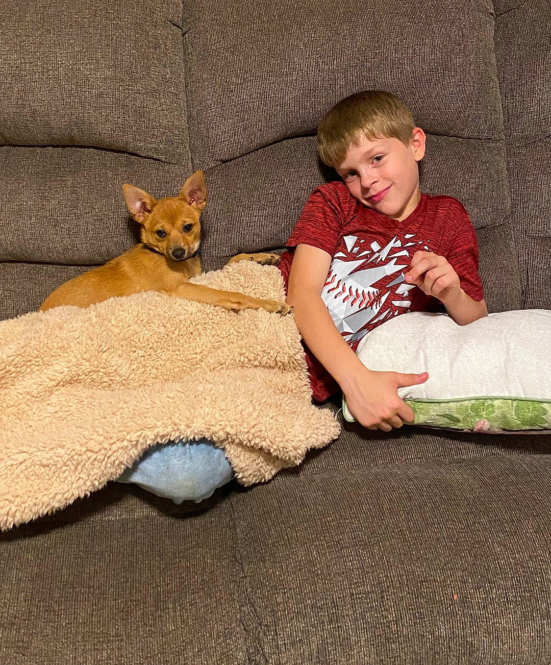 Bingo is registered to the contest to win money with this photo: carnivore, comfort, companion_dog, dog, fawn, flooring, foot, fur, grass, happy, head, human_leg, lap, leg, leisure, linens, sitting, smile, t_shirt, toddler