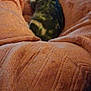 Artémis a rejoint le concours — aidez-le/la à gagner de superbes lots ! cat, blanket, legs, orange, indoor, cup, container, table, relaxing, pet, feline, cozy, sitting, fur, domestic, resting, home, comfort, warm, textured