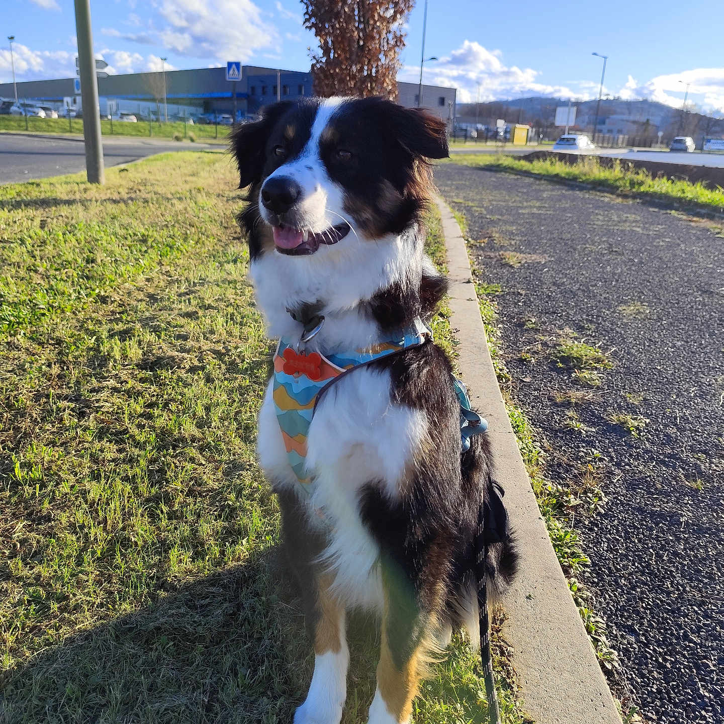 Asher