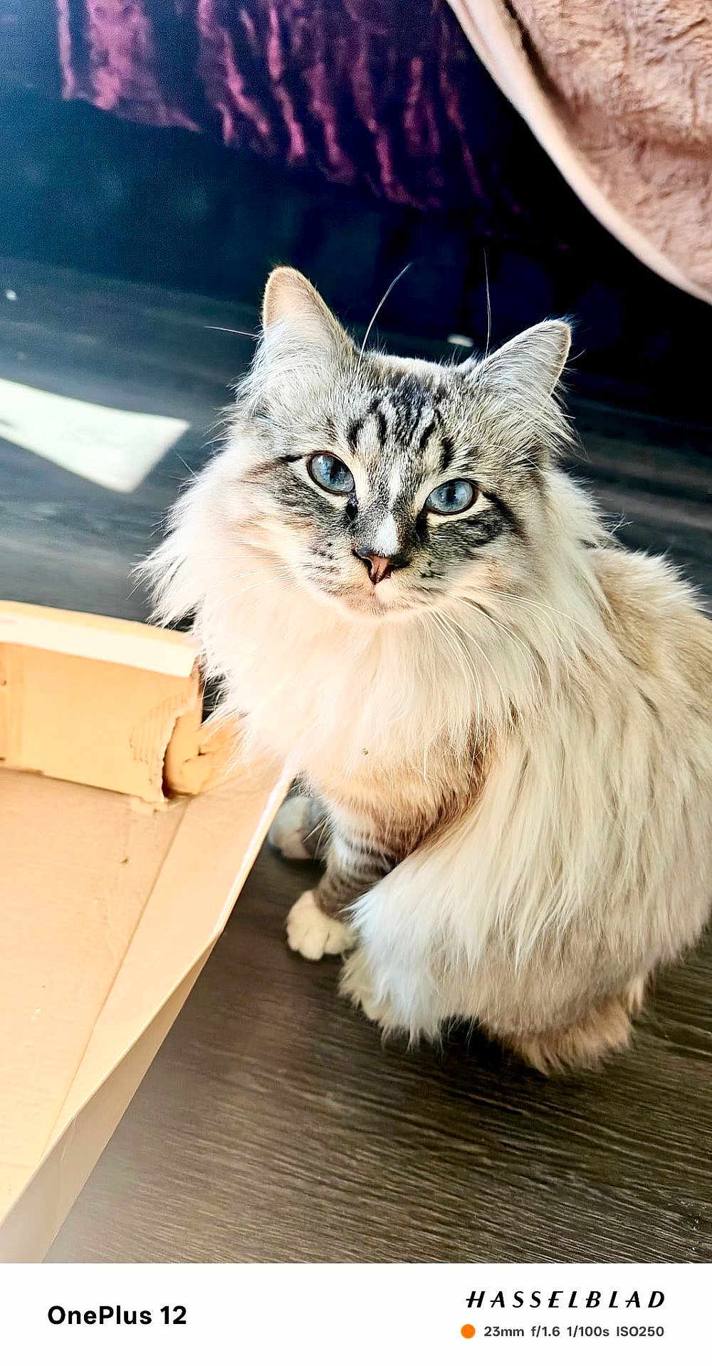Thomas