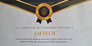 Sauveur participe au concours pour gagner de l'argent avec cette photo : award, black, border, cat, certificate, competition, date, design, document, french, gold, medal, paper, participant, print, ranking, symbol, text, typography, white
